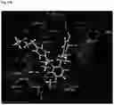 Fig. 47 - Methods For Treating Cancer