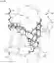 Fig. 57 - Methods For Treating Cancer