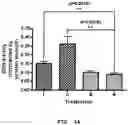 Fig. 10 - PHARMACEUTICAL COMPOSITION FOR INDUCING EXERCISE MIMETIC EFFECT