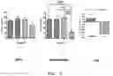 Fig. 12 - PHARMACEUTICAL COMPOSITION FOR INDUCING EXERCISE MIMETIC EFFECT