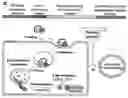 Fig. 01 - Compositions and methods for protecting a host from enteric toxigenic pathogens