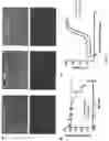 Fig. 07 - Compositions and methods for protecting a host from enteric toxigenic pathogens