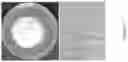 Fig. 08 - Volatile organic compound formulations having antimicrobial activity