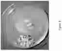Fig. 09 - Volatile organic compound formulations having antimicrobial activity