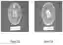 Fig. 16 - Volatile organic compound formulations having antimicrobial activity