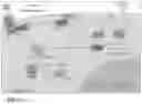 Fig. 06 - APOBEC3B MUTAGENESIS AND IMMUNOTHERAPY