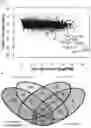 Fig. 05 - Compounds, compositions, and methods for inhibiting bacterial growth