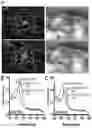 Fig. 13 - Compounds, compositions, and methods for inhibiting bacterial growth