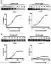 Fig. 15 - Compounds, compositions, and methods for inhibiting bacterial growth
