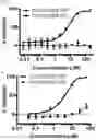 Fig. 19 - Compounds, compositions, and methods for inhibiting bacterial growth