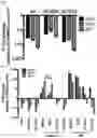 Fig. 20 - Compounds, compositions, and methods for inhibiting bacterial growth