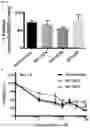 Fig. 23 - Compounds, compositions, and methods for inhibiting bacterial growth