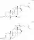 Fig. 15 - Dihydroartemisinin-steroid conjugate and preparation method and application thereof