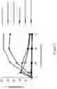 Fig. 06 - CYCLIC NITRO COMPOUNDS, PHARMACEUTICAL COMPOSITIONS THEREOF AND USES THEREOF