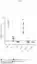 Fig. 04 - ANTICANCER COMBINATION THERAPY