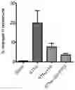 Fig. 01 - Method for treating inflammatory disorders