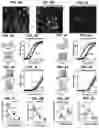 Fig. 05 - Methods and compositions for treating pain