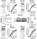 Fig. 07 - Methods and compositions for treating pain