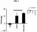 Fig. 10 - Methods and compositions for treating pain