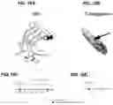 Fig. 11 - Methods and compositions for treating pain
