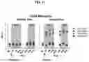 Fig. 18 - Methods and compositions for treating pain
