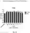 Fig. 24 - Methods and compositions for inhibition of EGF/EGFR pathway in combination with anaplastic lymphoma kinase inhibitors