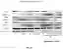 Fig. 40 - Methods and compositions for inhibition of EGF/EGFR pathway in combination with anaplastic lymphoma kinase inhibitors