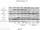 Fig. 50 - Methods and compositions for inhibition of EGF/EGFR pathway in combination with anaplastic lymphoma kinase inhibitors