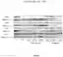 Fig. 57 - Methods and compositions for inhibition of EGF/EGFR pathway in combination with anaplastic lymphoma kinase inhibitors