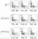 Fig. 07 - Specific Akt3 inhibitor and uses thereof