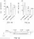 Fig. 08 - Specific Akt3 inhibitor and uses thereof