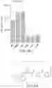 Fig. 11 - Specific Akt3 inhibitor and uses thereof