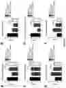 Fig. 20 - Lanthionine synthetase C-like 2-based therapeutics