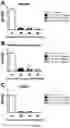 Fig. 22 - Lanthionine synthetase C-like 2-based therapeutics