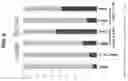 Fig. 07 - Pharmaceutical combinations comprising a histone deacetylase inhibitor and an aurora kinase inhibitor and methods of use thereof