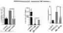 Fig. 01 - COMPOSITIONS AND METHODS FOR INHIBITING KINASES