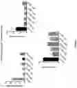 Fig. 06 - COMPOSITIONS AND METHODS FOR INHIBITING KINASES