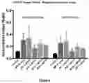 Fig. 07 - COMPOSITIONS AND METHODS FOR INHIBITING KINASES