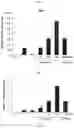 Fig. 06 - Composition for inducing differentiation and protection of neural stem cells and method for inducing neuro-regeneration using the same composition
