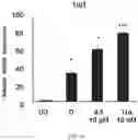 Fig. 09 - Composition for inducing differentiation and protection of neural stem cells and method for inducing neuro-regeneration using the same composition