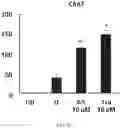Fig. 10 - Composition for inducing differentiation and protection of neural stem cells and method for inducing neuro-regeneration using the same composition