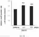 Fig. 25 - Composition for inducing differentiation and protection of neural stem cells and method for inducing neuro-regeneration using the same composition