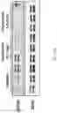 Fig. 31 - Composition for inducing differentiation and protection of neural stem cells and method for inducing neuro-regeneration using the same composition