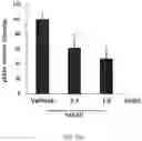 Fig. 32 - Composition for inducing differentiation and protection of neural stem cells and method for inducing neuro-regeneration using the same composition