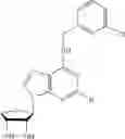Fig. 23 - Pharmaceutical composition for preventing and treating nonalcoholic steatohepatitis, hepatic fibrosis, and liver cirrhosis, comprising adenosine derivatives