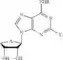Fig. 28 - Pharmaceutical composition for preventing and treating nonalcoholic steatohepatitis, hepatic fibrosis, and liver cirrhosis, comprising adenosine derivatives