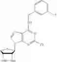 Fig. 31 - Pharmaceutical composition for preventing and treating nonalcoholic steatohepatitis, hepatic fibrosis, and liver cirrhosis, comprising adenosine derivatives