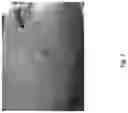 Fig. 08 - Medicament for Treating Peripheral Neuropathies