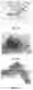 Fig. 25 - Medicament for Treating Peripheral Neuropathies