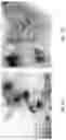 Fig. 28 - Medicament for Treating Peripheral Neuropathies